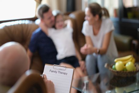 A Brief Guide to Family Therapy